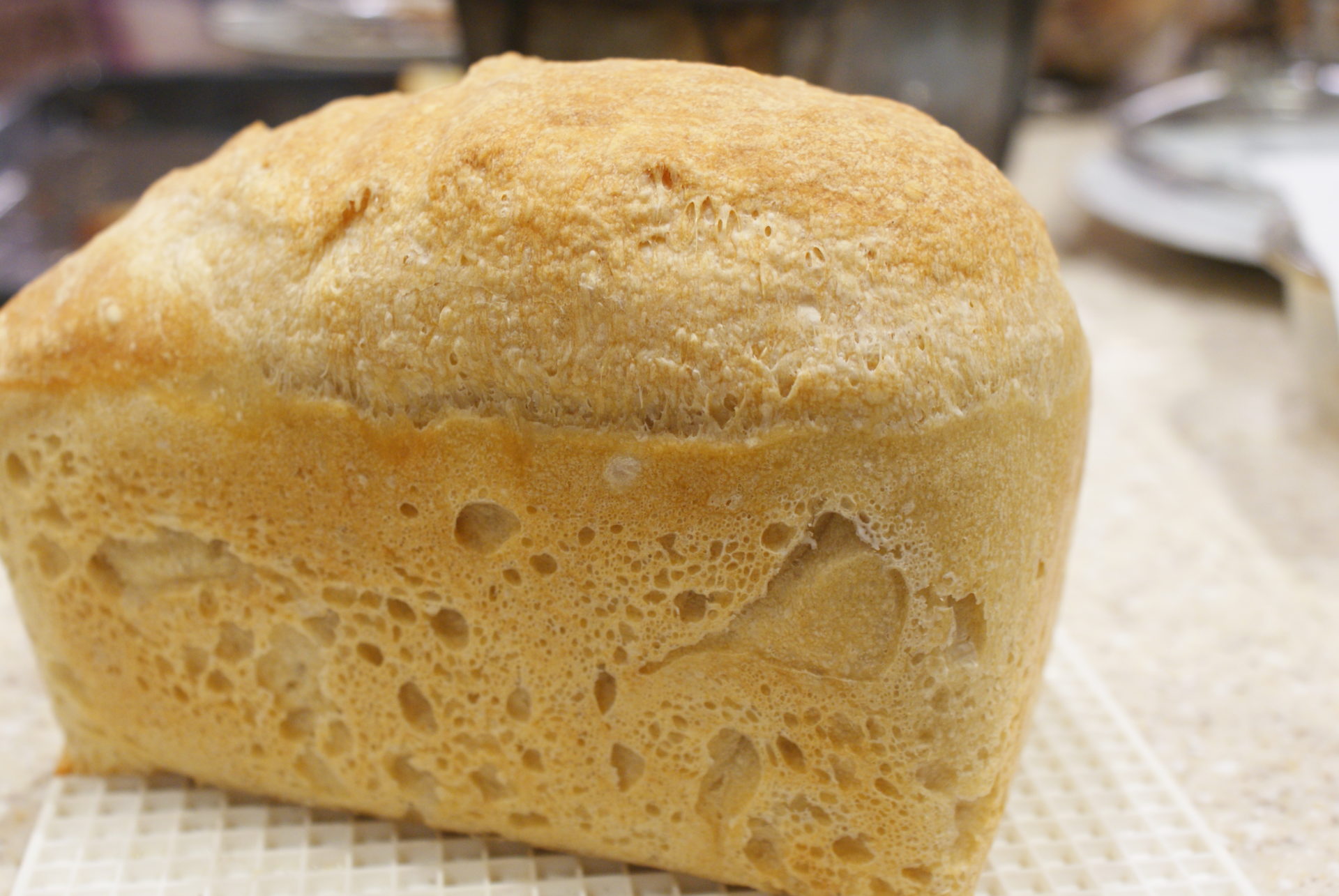 no knead bread made in a breadmaker