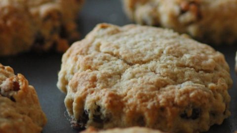 raisin scone